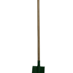 IMG 4079